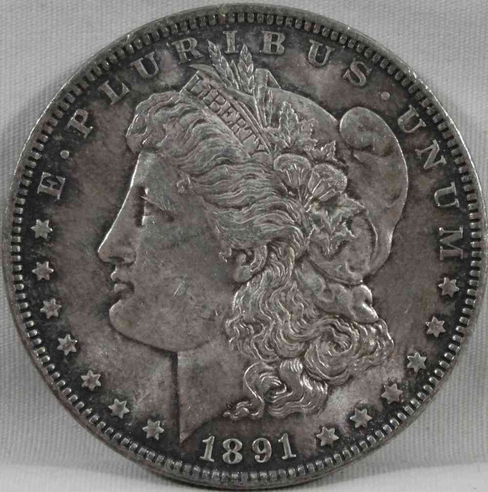 Grading-This-1891-Morgan-Dollar